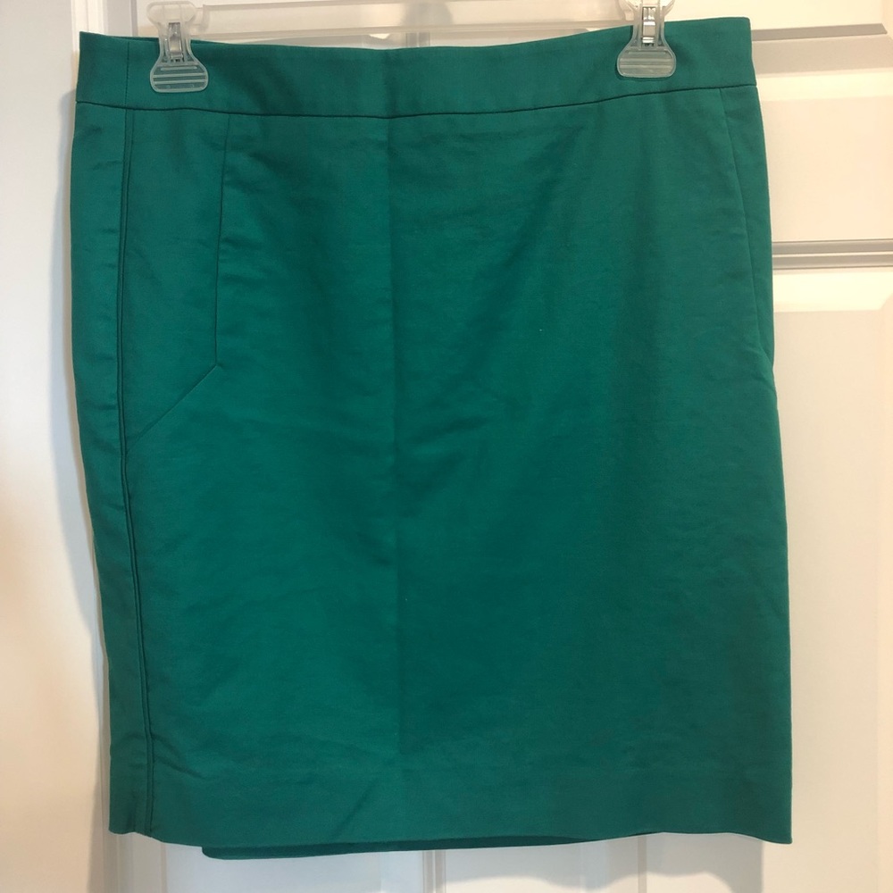 Limited Pencil Skirt NWOT